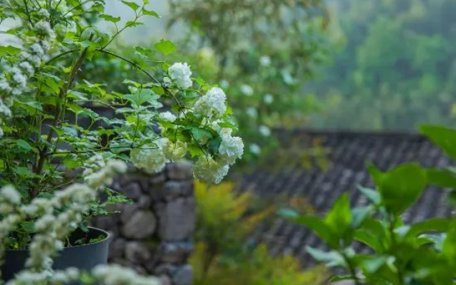 TongluHualu Boutique Residence – Outside – Hangzhou