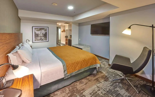 Hilton Garden Inn Mexico City Polanco
