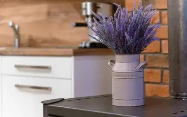 Apartman Elise