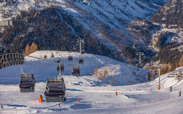 R Sidence Androsace 53