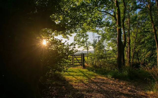 Beautiful Secluded 2-bed Barn With Woodfire Hottub