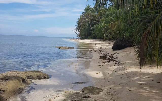 Ciudad Pérdida Ecolodge