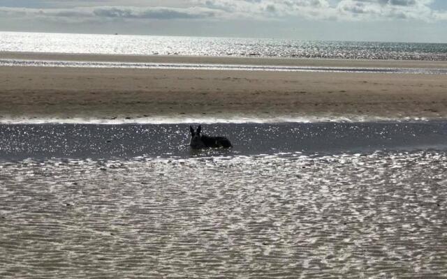 The Sun Trap @ Bridlington's Bed & Bowl Beach Breaks