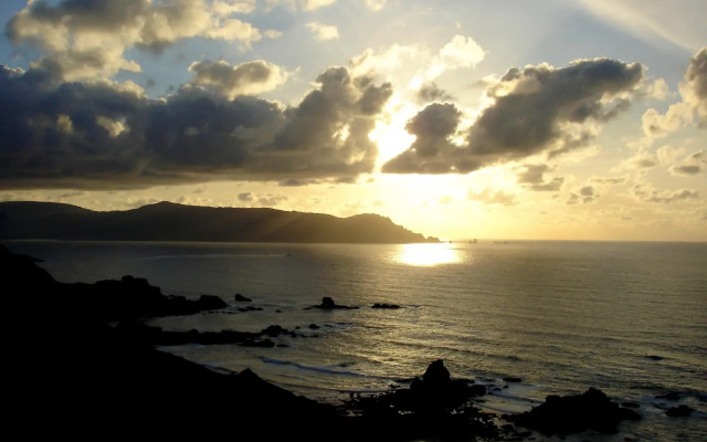 The Cliffs - Bannanas Longboard