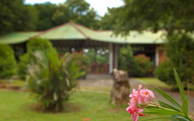 mastodon valley safari resort
