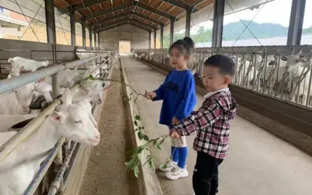 Hangzhou Qingye Homestay