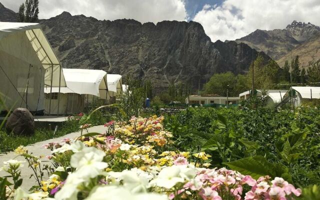 Apple Cottage Nubra - Glamping