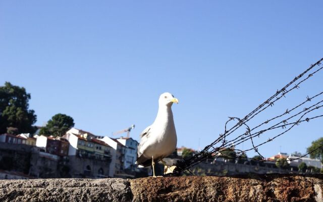 Rock n´Porto Hostel