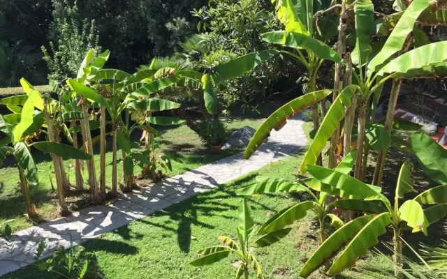 Eden Park Hotel