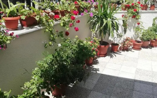 Milchevi Guesthouse
