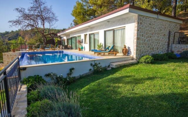 Villa Ella