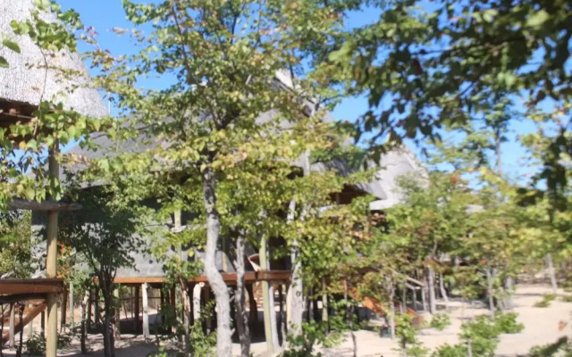 Dzibanana Lodge & Camping