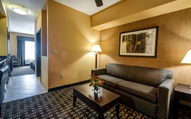 Holiday Inn Arlington NE-Rangers Ballpark by IHG