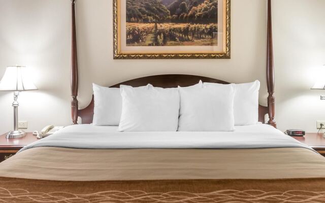 Comfort Inn Plainwell