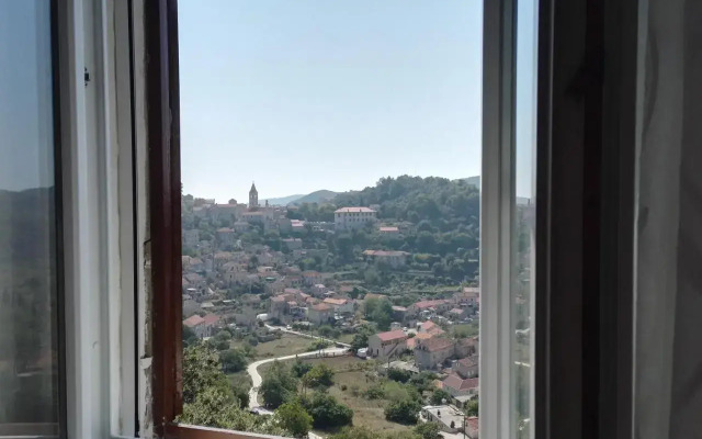 Apartment Petar