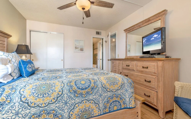 Colony Reef by Vtrips