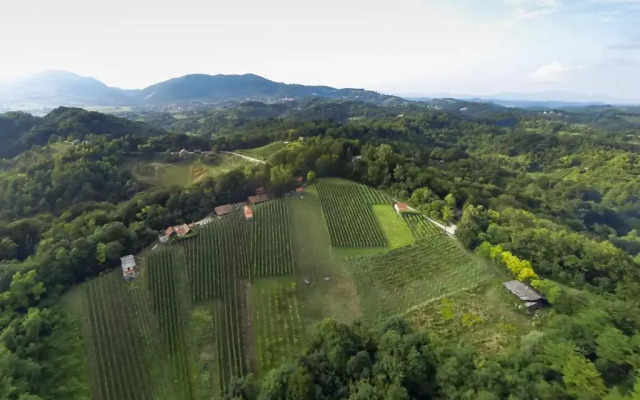 Lodge Green paradise