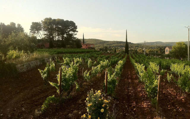 Domaine Rabiega