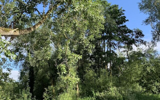 Wensum Glamping