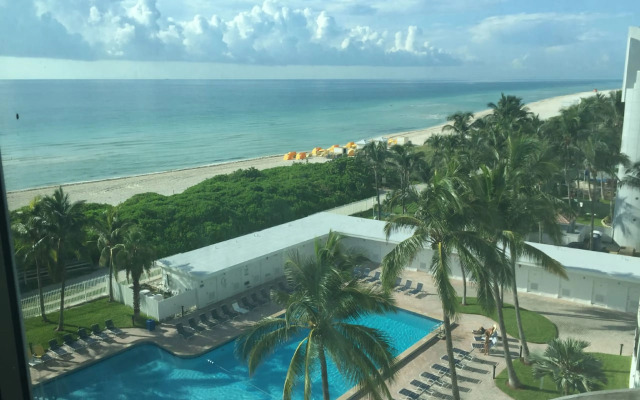 Casablanca Miami Beach