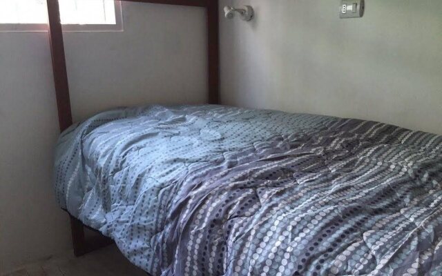 Hostel Dream and Trip