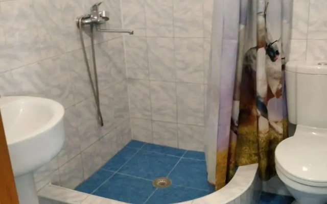 Zhemchuzhina guest house