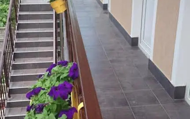 У Кота гостевой дом