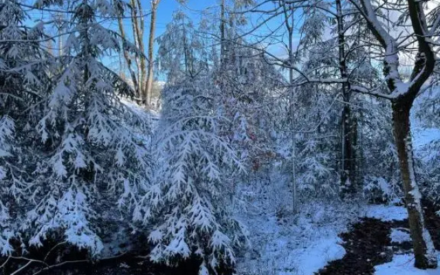 Ferienwohnung Hampton