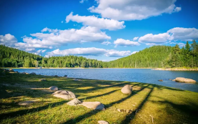 Romantica Forest Holiday Village