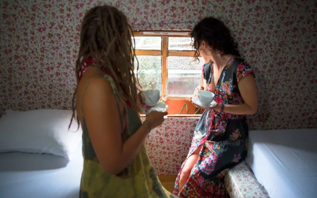 The Rabbit Tree - Hostel
