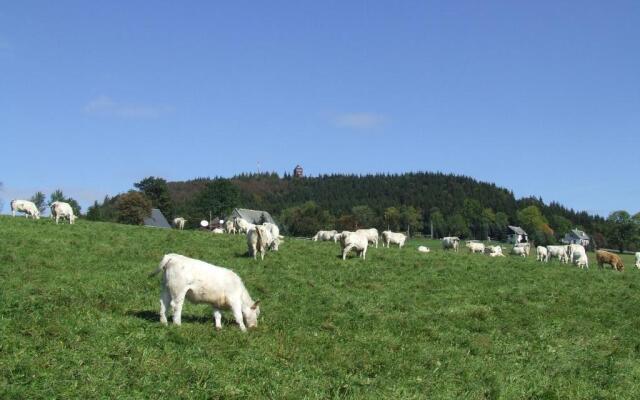 Apartment fewobaerenstein