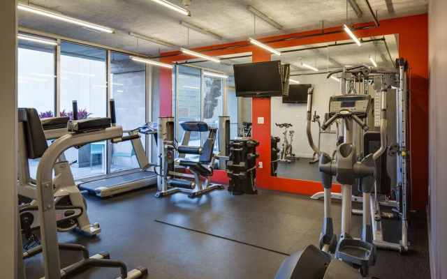 Stay Alfred on 6th Avenue