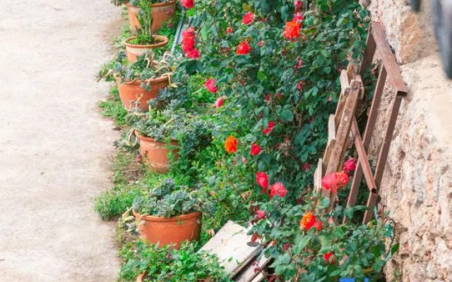 Weijianshan Homestay