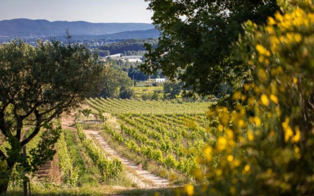 Domaine De La Navicelle - Merlot