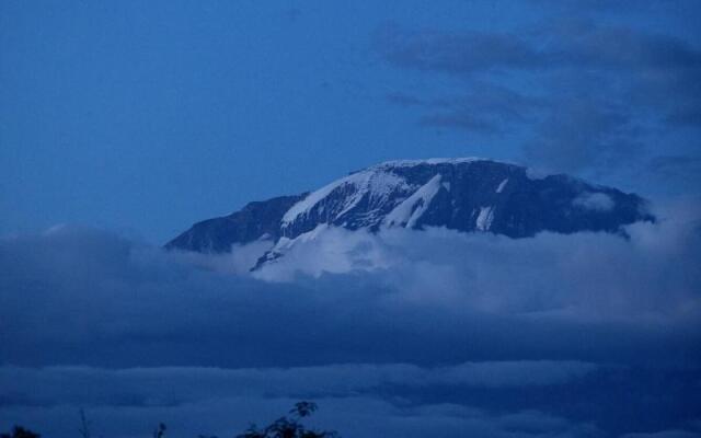 Pink Flamingo Boutique Hotel