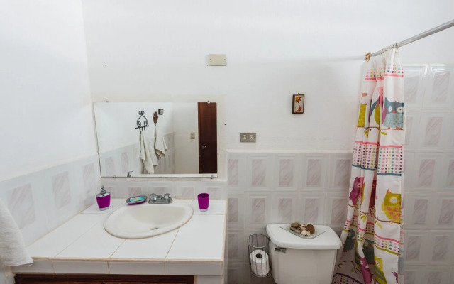 Loli's Place