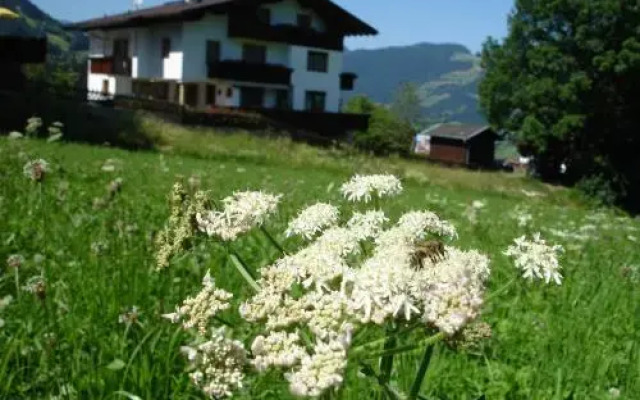 Appartement Hollaus