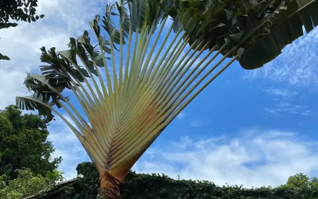 Pousada Bahiamar