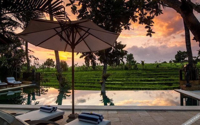 Rice Field Terrace Tirta Villa Canggu