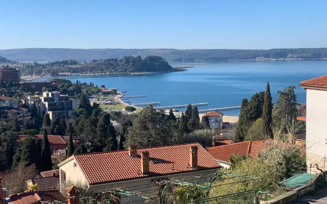 Apartments Ostanek 2