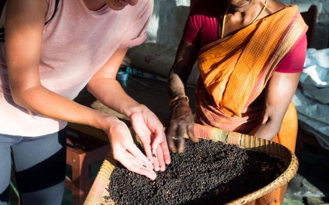 Spice Village - Cgh Earth