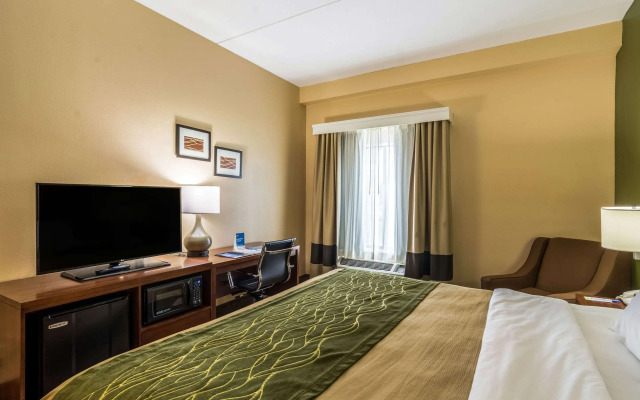 Comfort Inn & Suites Panama City North