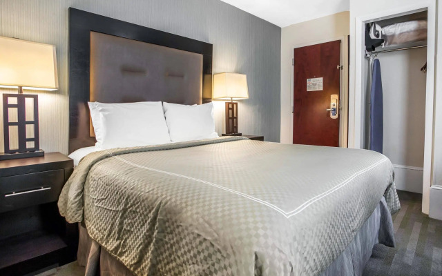 Quality Inn Center City