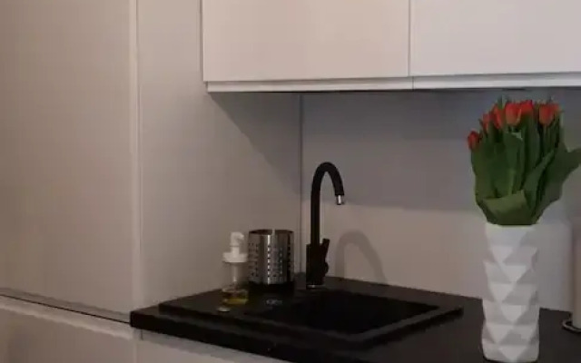 Lema Apartment Gdańsk by Renters