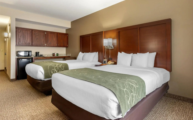 Comfort Suites Johnson City near University