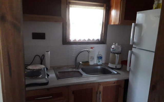 House With Backyard and Winter Garden in Agva