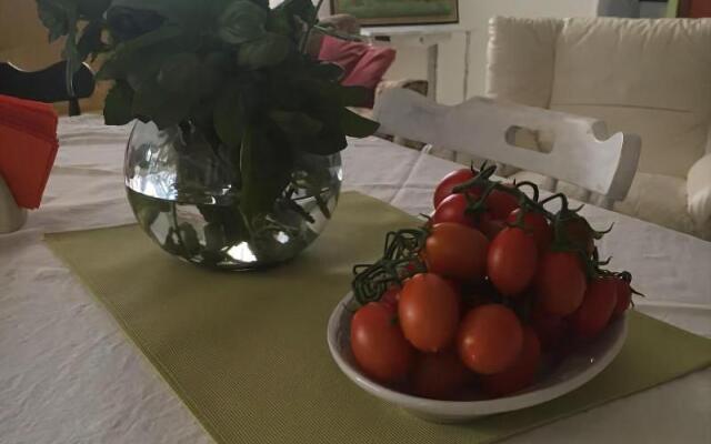BeB il Pomo D'Oro