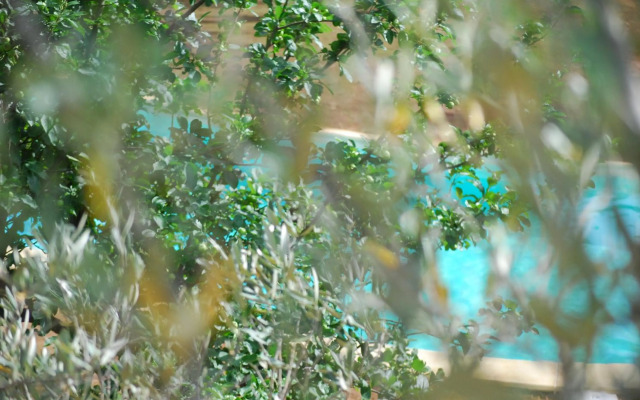 Palazzo Conforti Tree House Resort