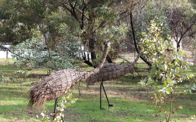 Black Wattle Retreat