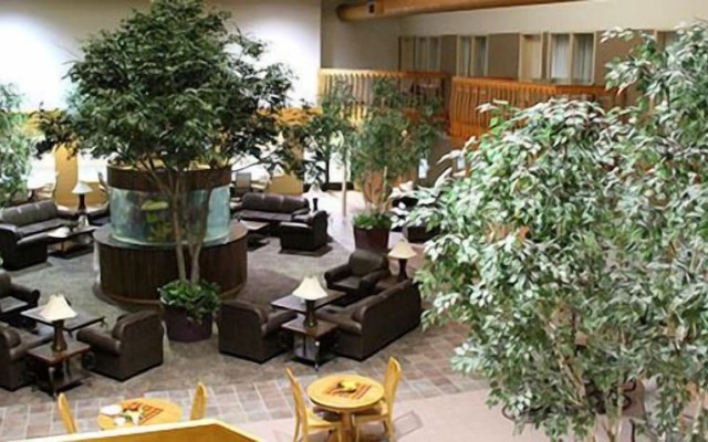 C'mon Inn Thief River Falls